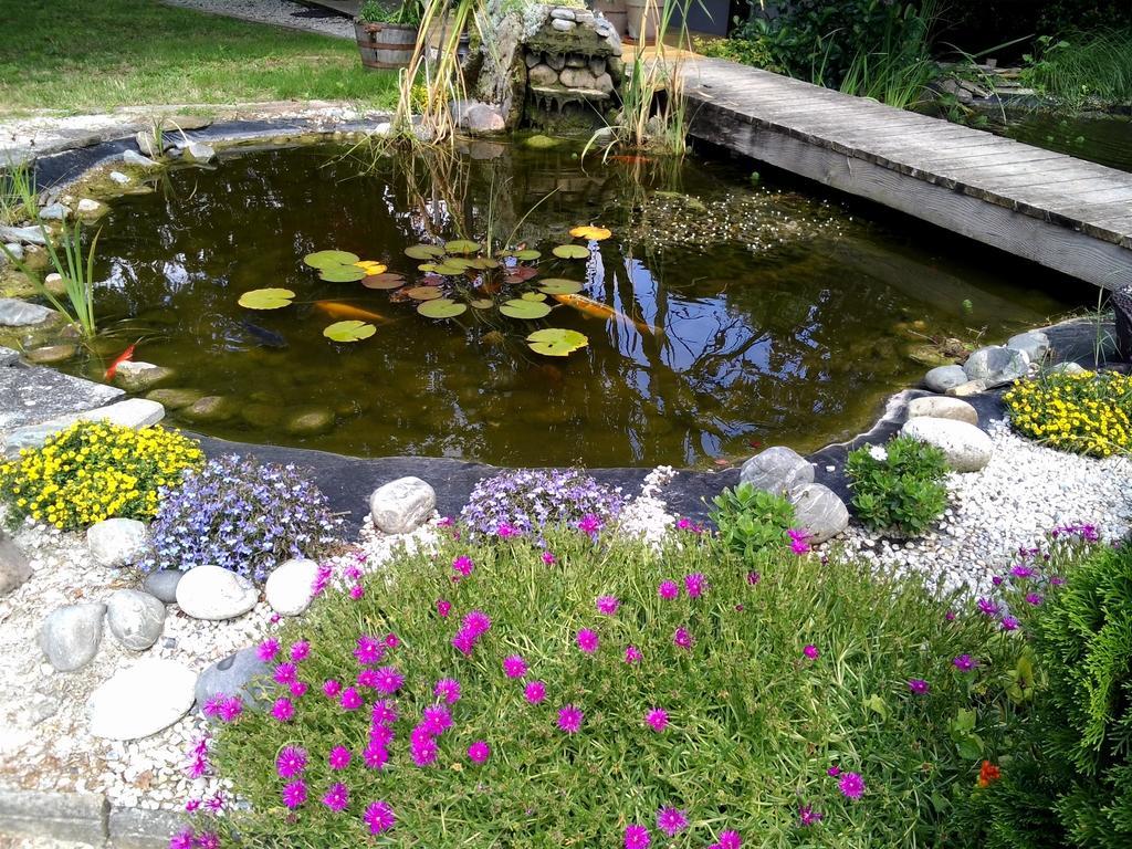 Bed and Breakfast Le Bassin Du Tertre Fronsac  Экстерьер фото